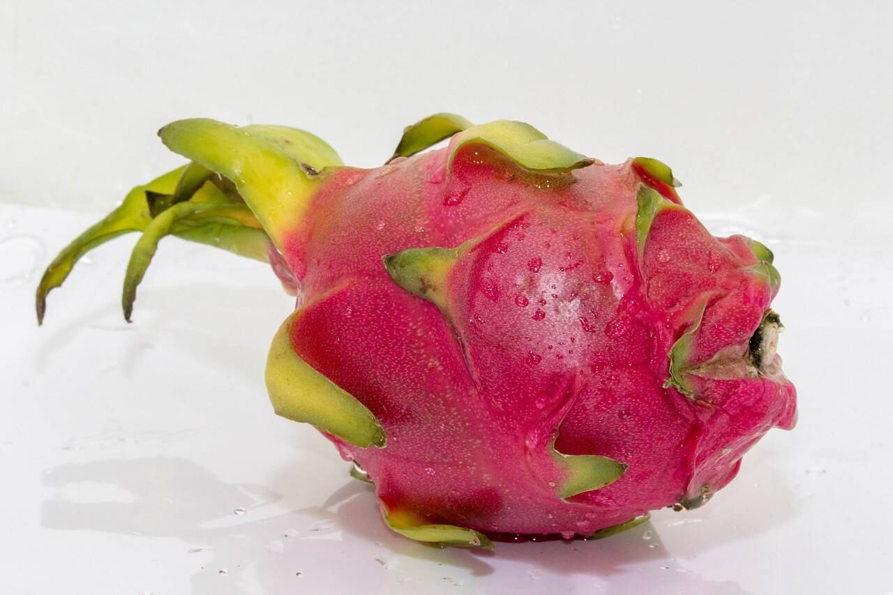 Disadvantages of Dragon Fruits